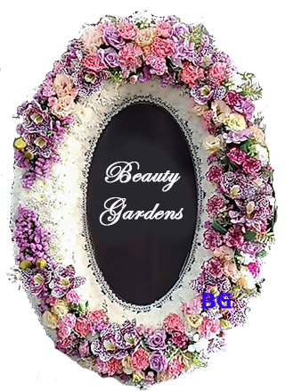 �ǧ��մ���